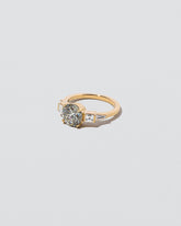 Fisher Ring on light color background.