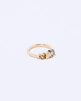 Occam's Ring on light color background.