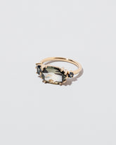 Autumnal Ring on light color background.
