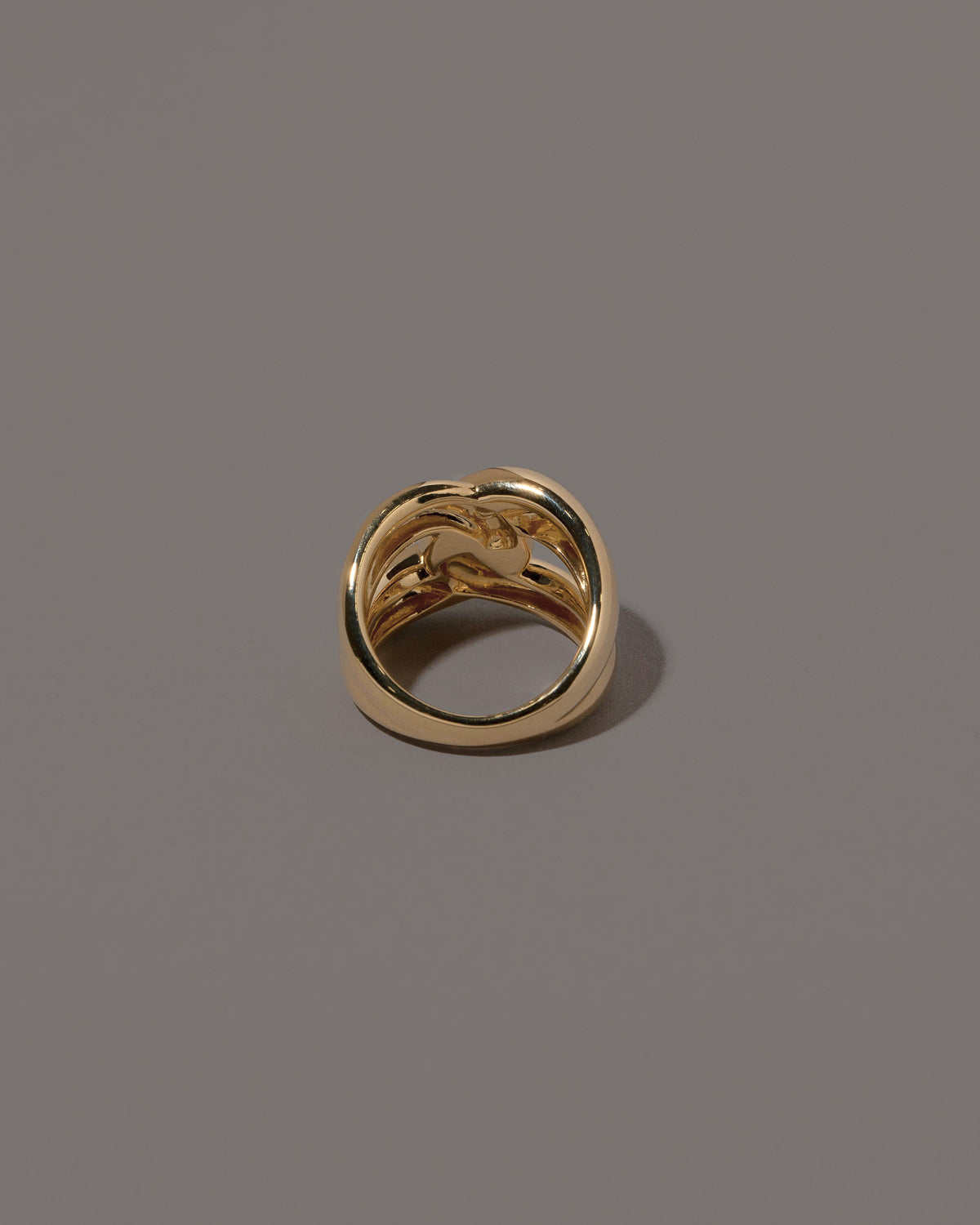 View from the back of the One Ring on grey color background.