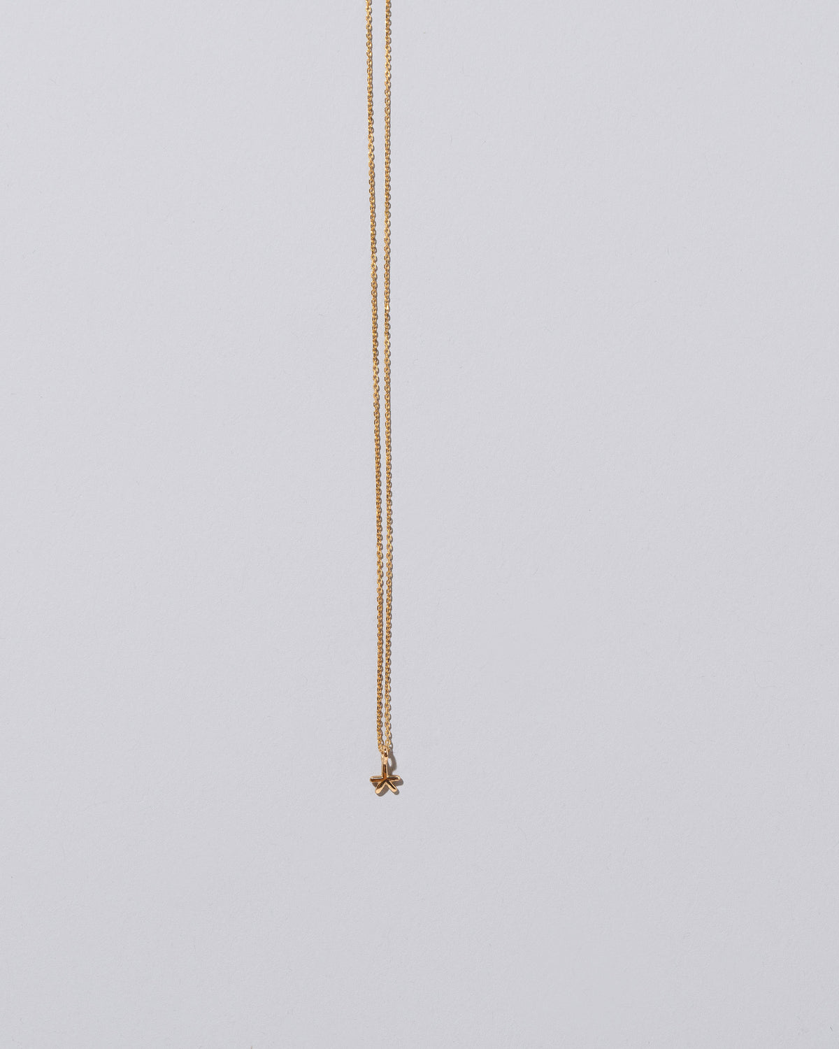 Star Talisman Pendant Necklace on light color background.