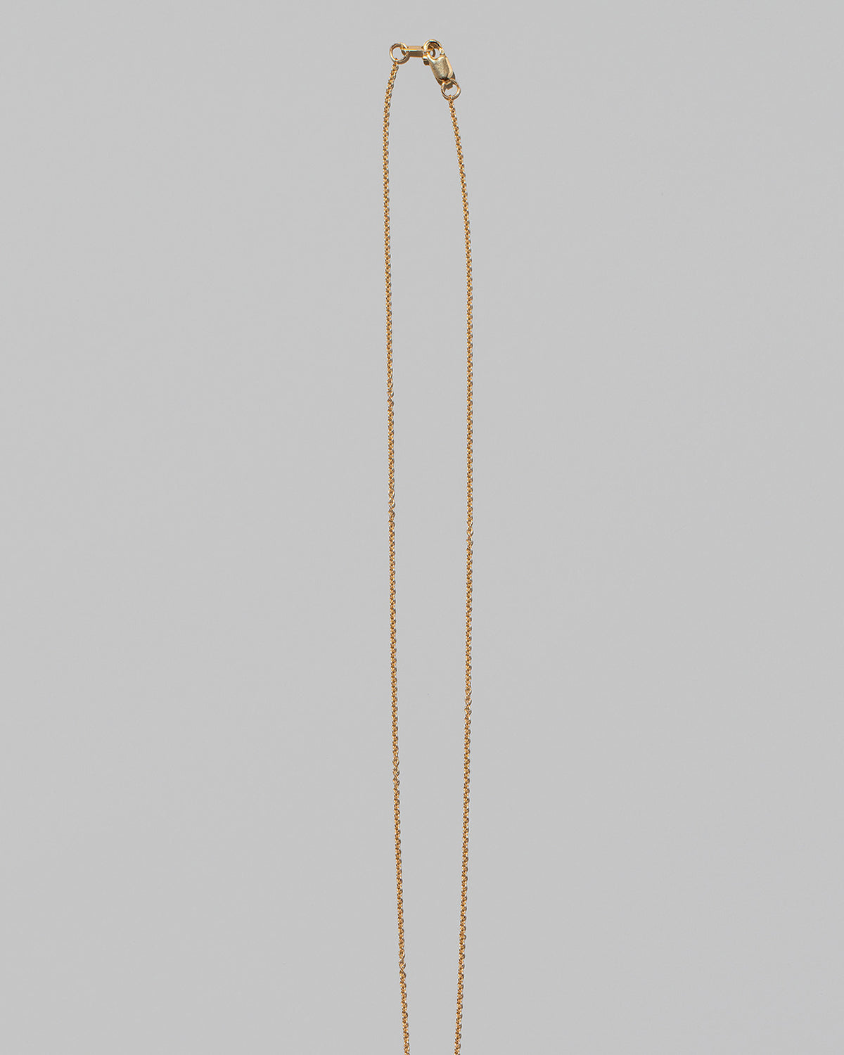 Closeup details of the Collection Chain on light color background.