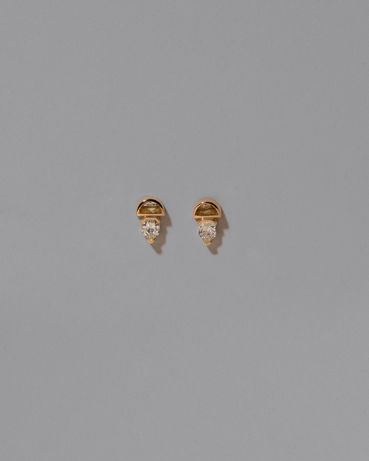 Delphinus Earrings on light color background.