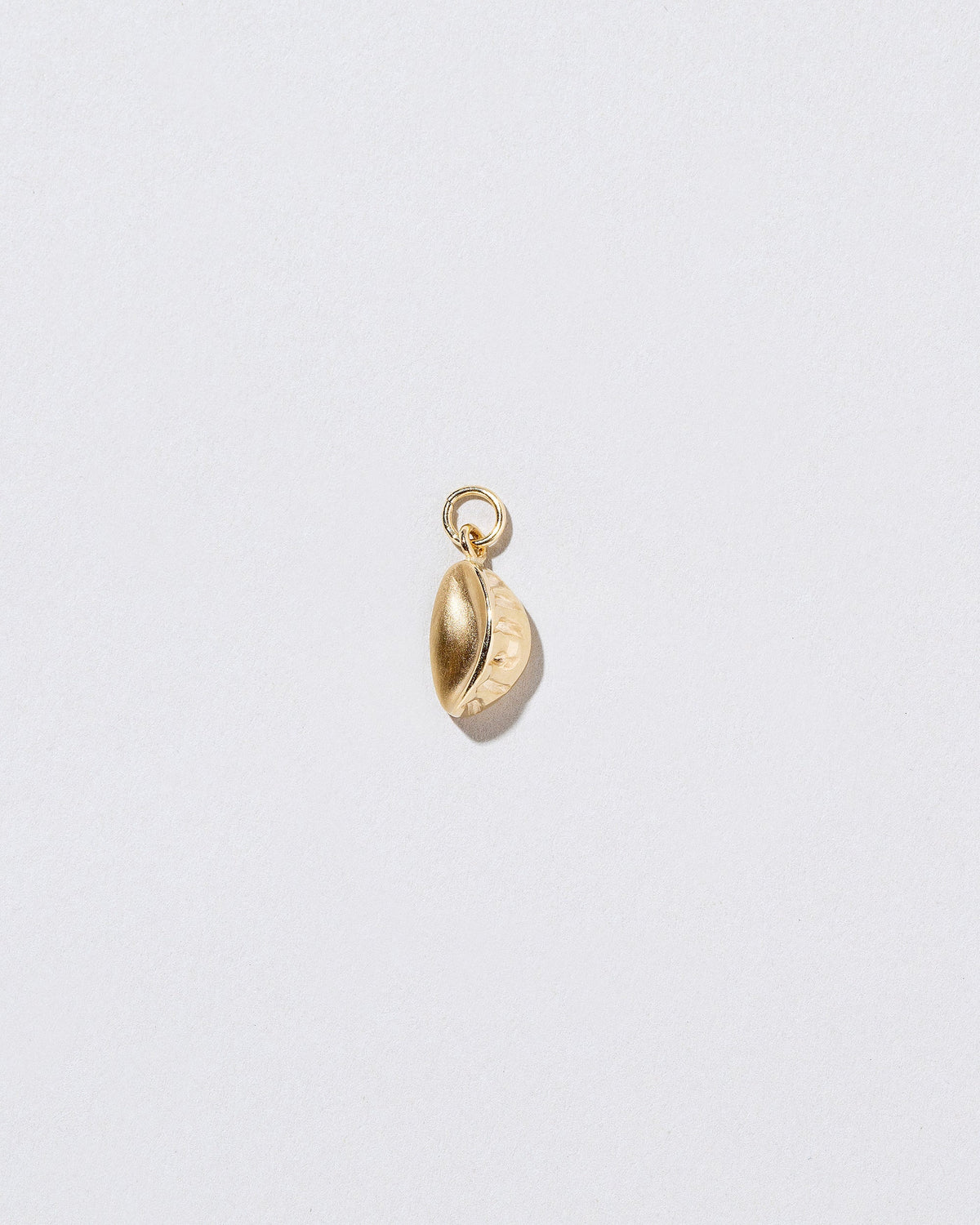 Steamed Dumpling Charm on light color background.