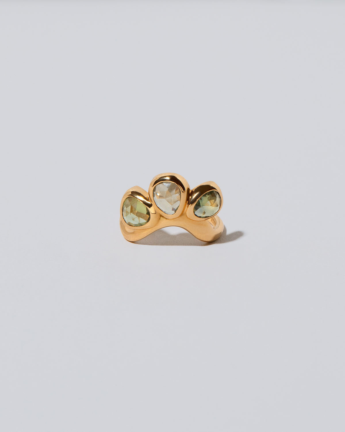 Future Life Ring on light color background.