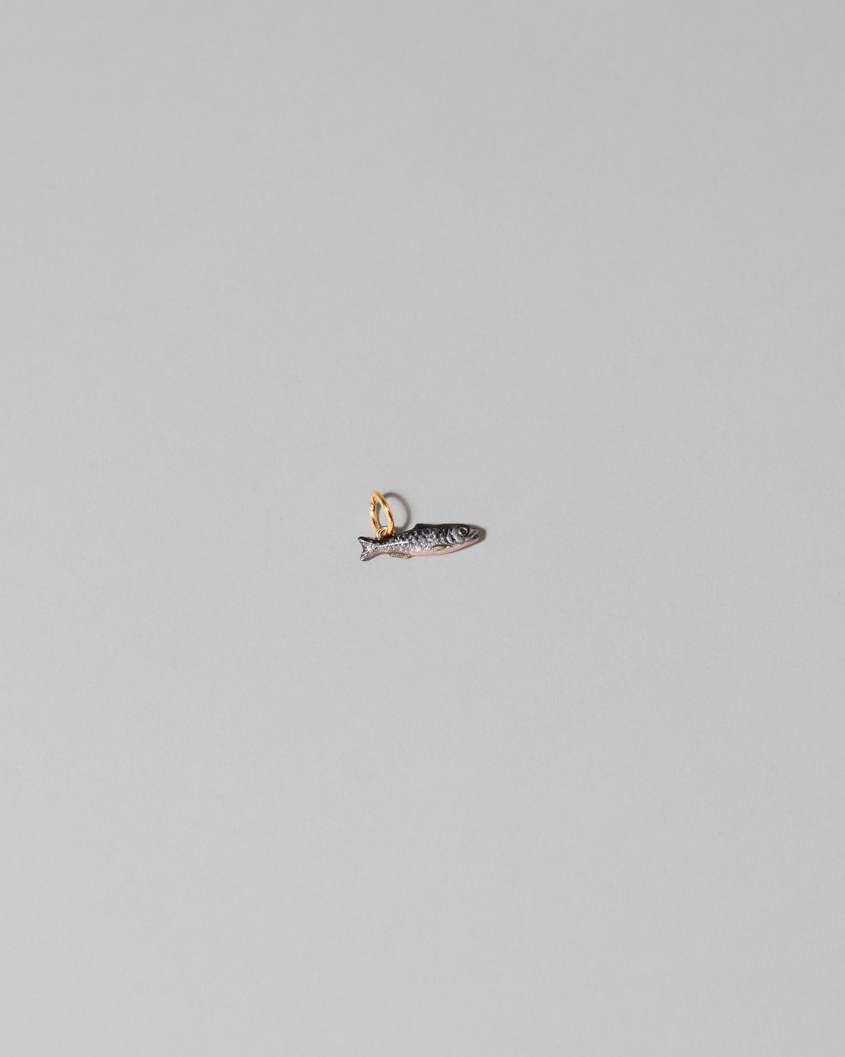 Sardine Charm on light color background.