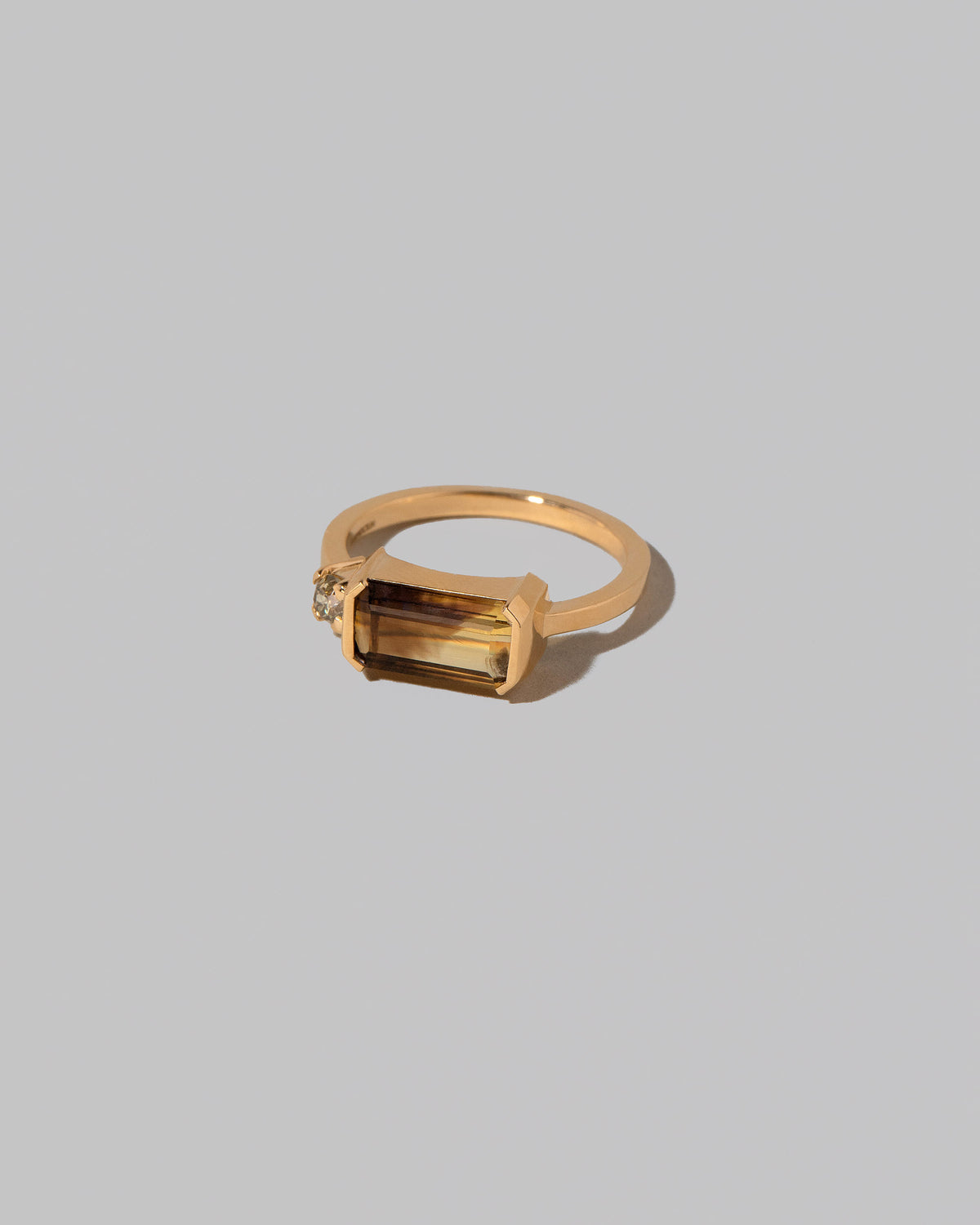 View from the side of the Ansellia Ring on light color background.