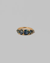 Delphinium Ring on light color background.