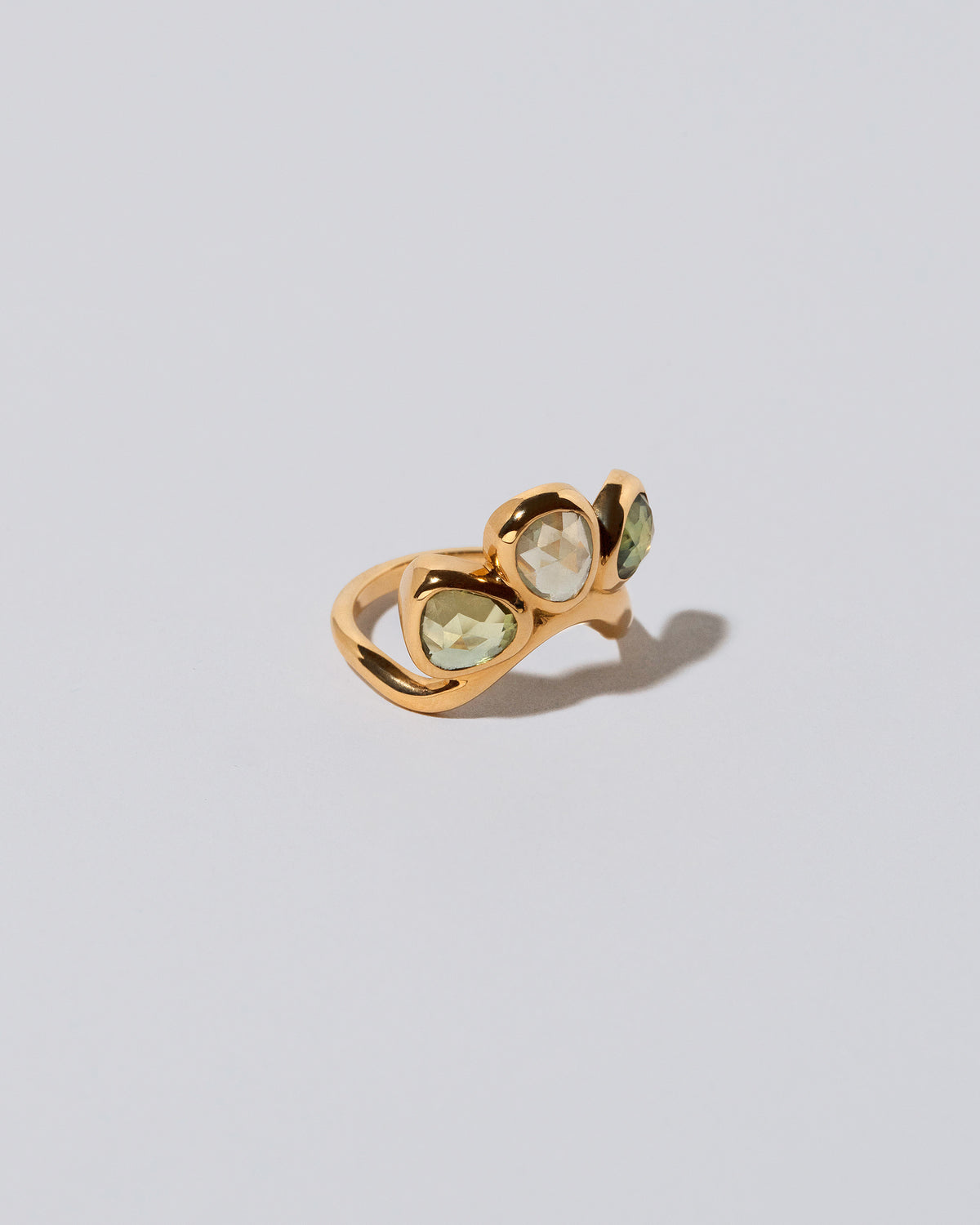 Future Life Ring on light color background.