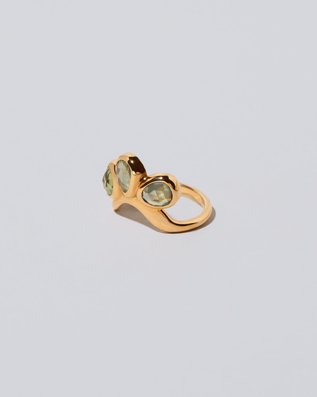 Future Life Ring on light color background.