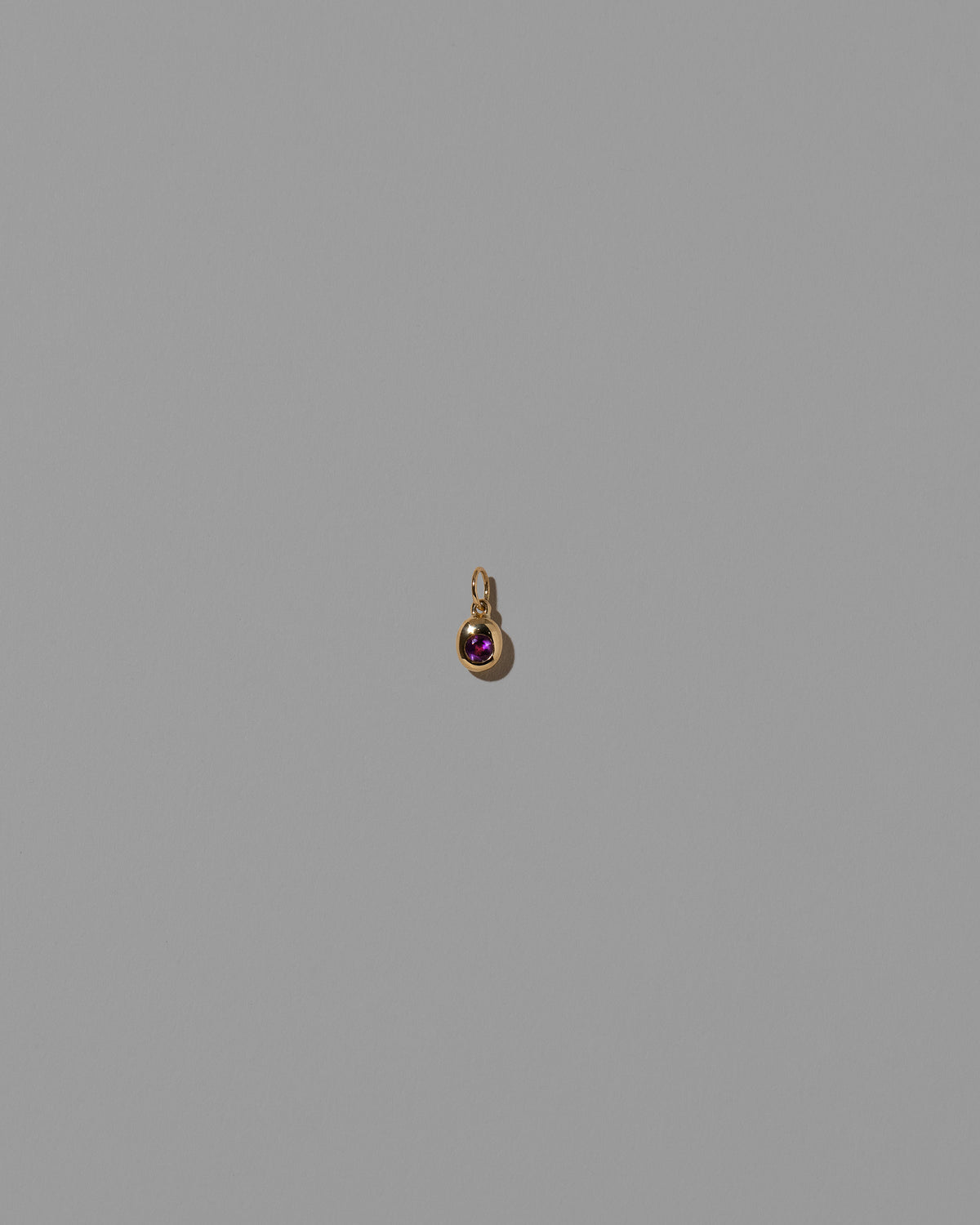 Amethyst Birthstone Level Charm on light color background.