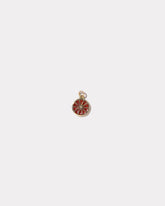  Sliced Fruit Charm - Grapefruit on light color background.