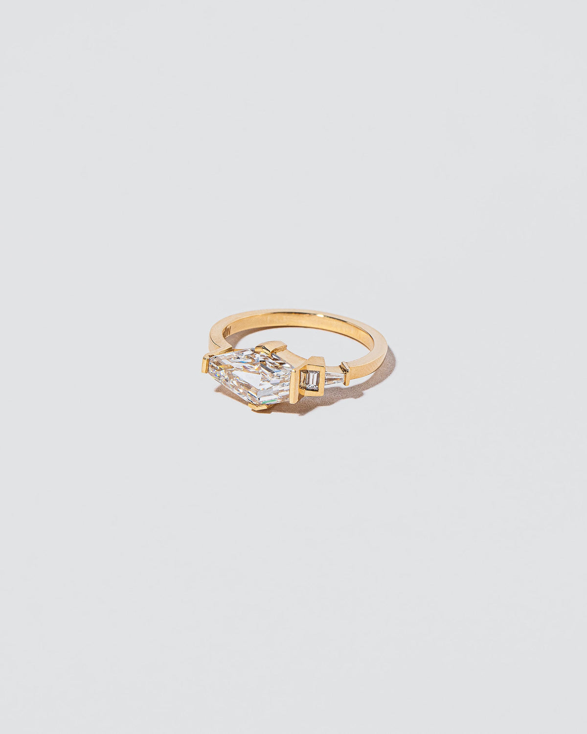  Serpentes Ring on light color background.