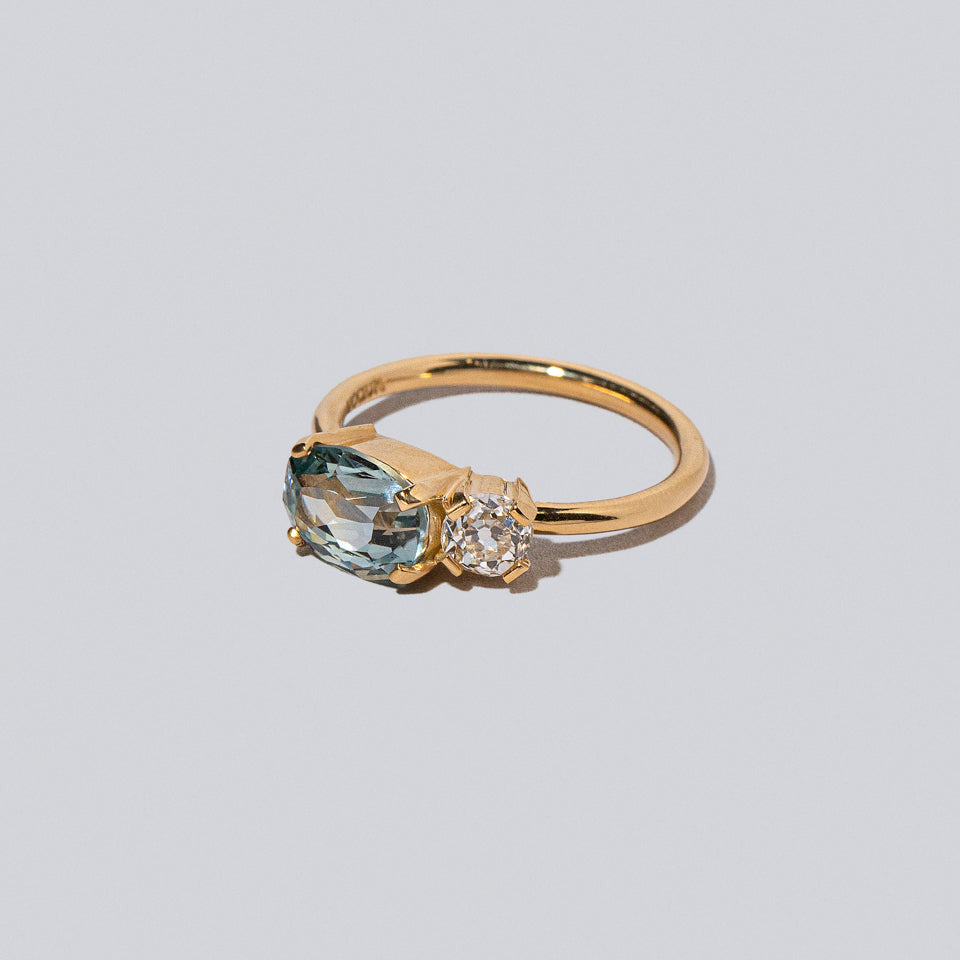 product_details:: Product photo of Lupine Ring on a light color background 