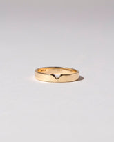  Triangle Notch Band - 3mm on light color background.