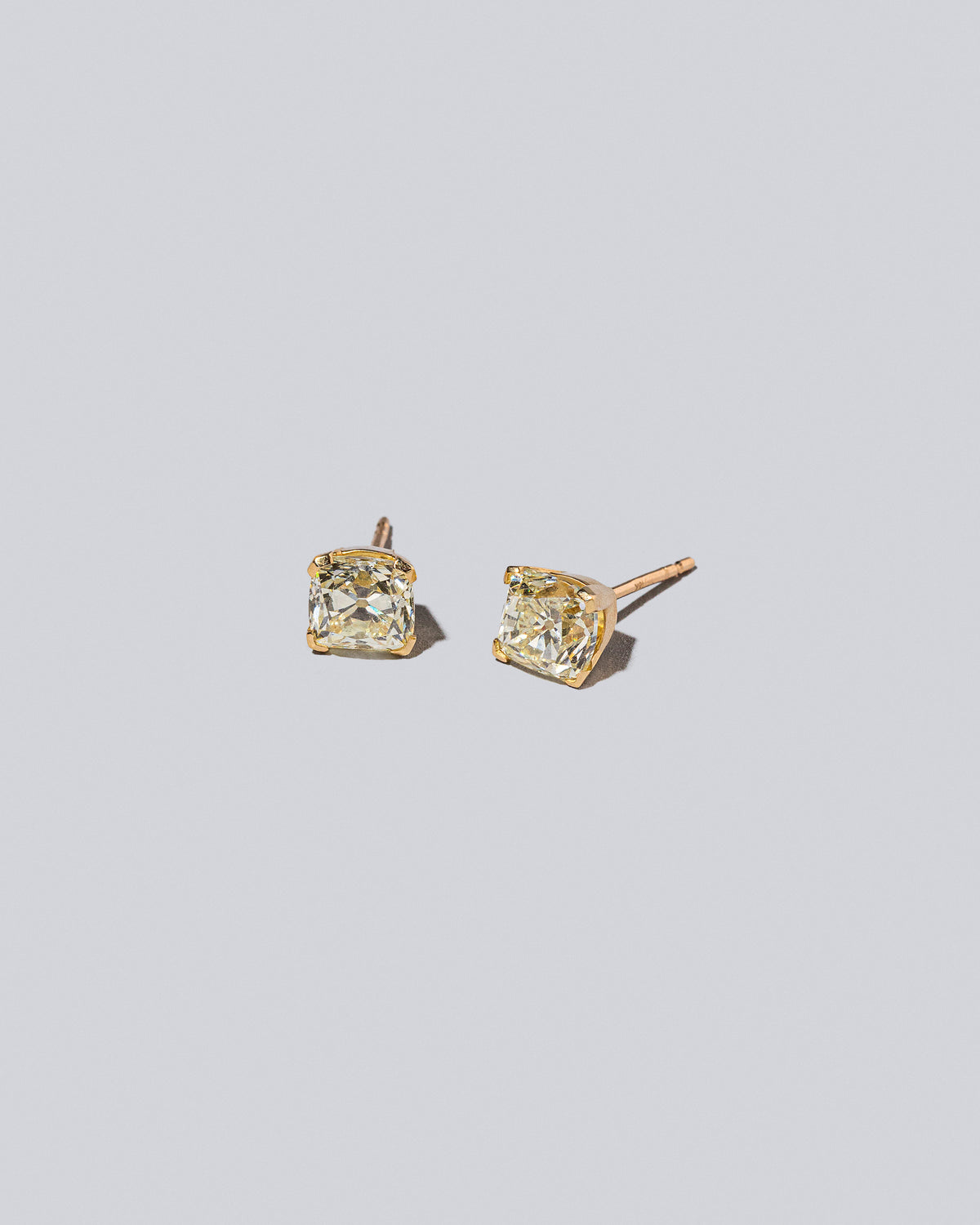 Ardor Earringss on light color background.