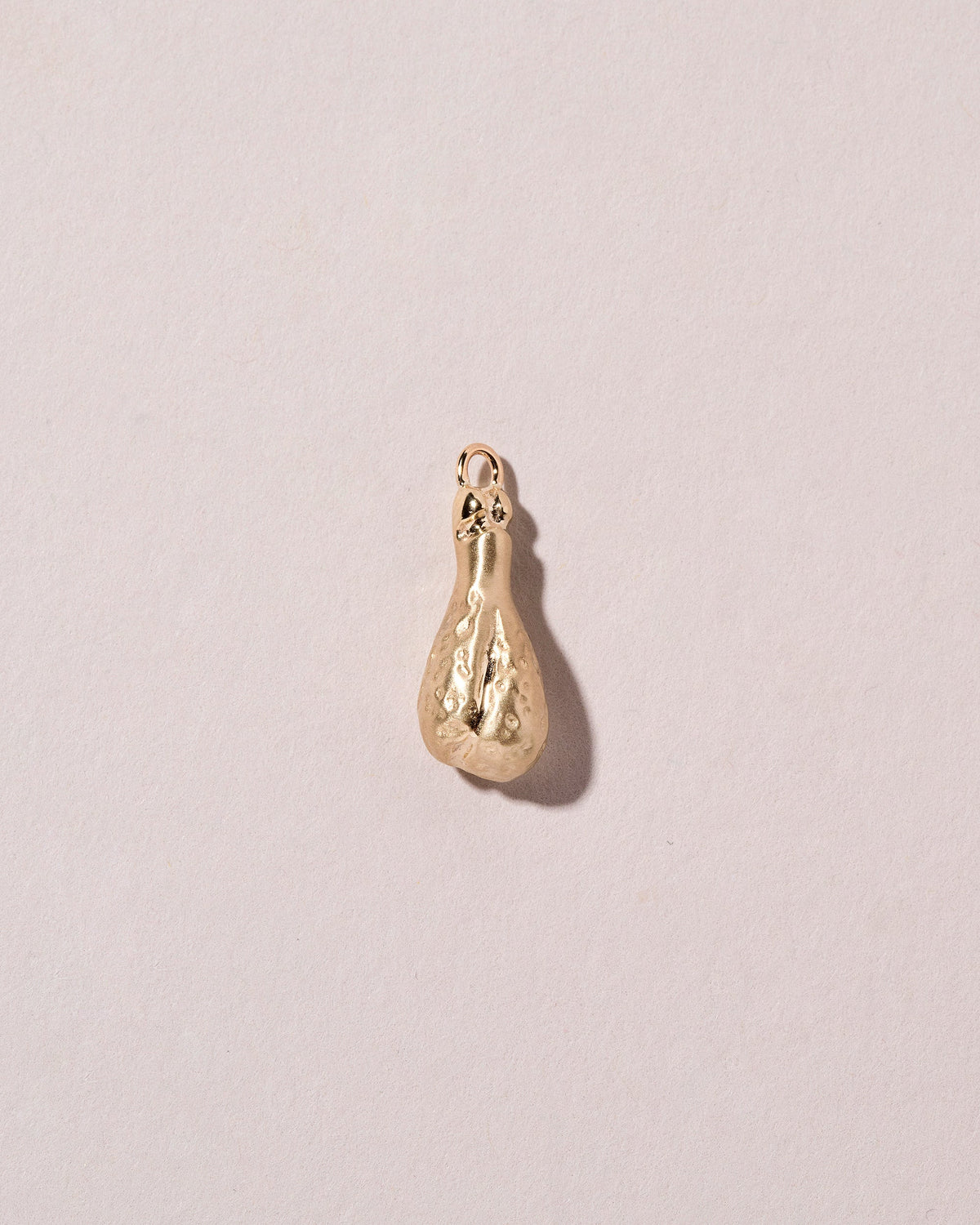  Chicken Drumstick Charm on light color background.
