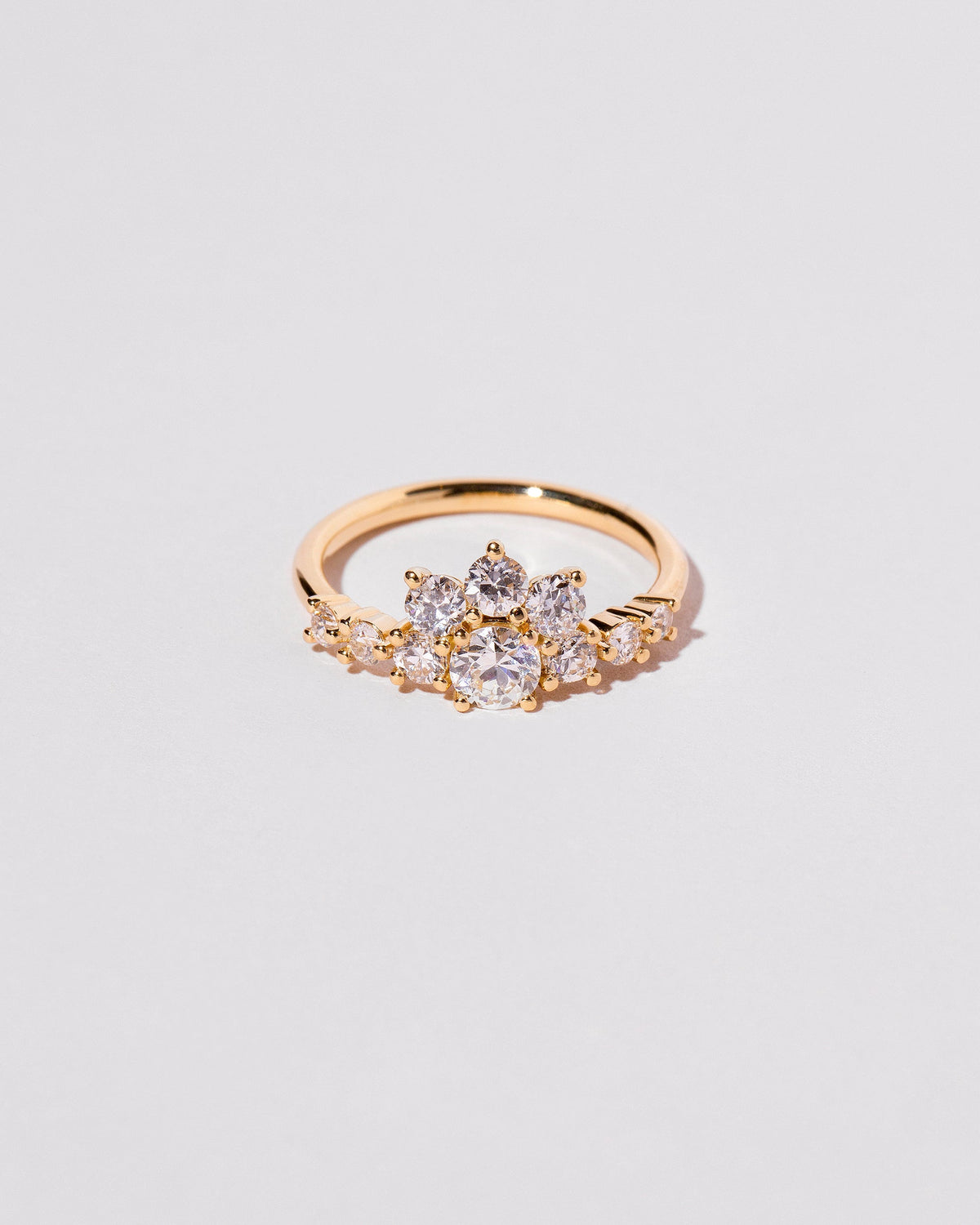  Cordillera Ring on light color background.