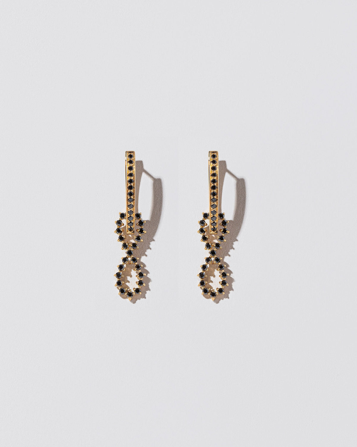 Black Diamond Lifecycle Earrings on light color background.