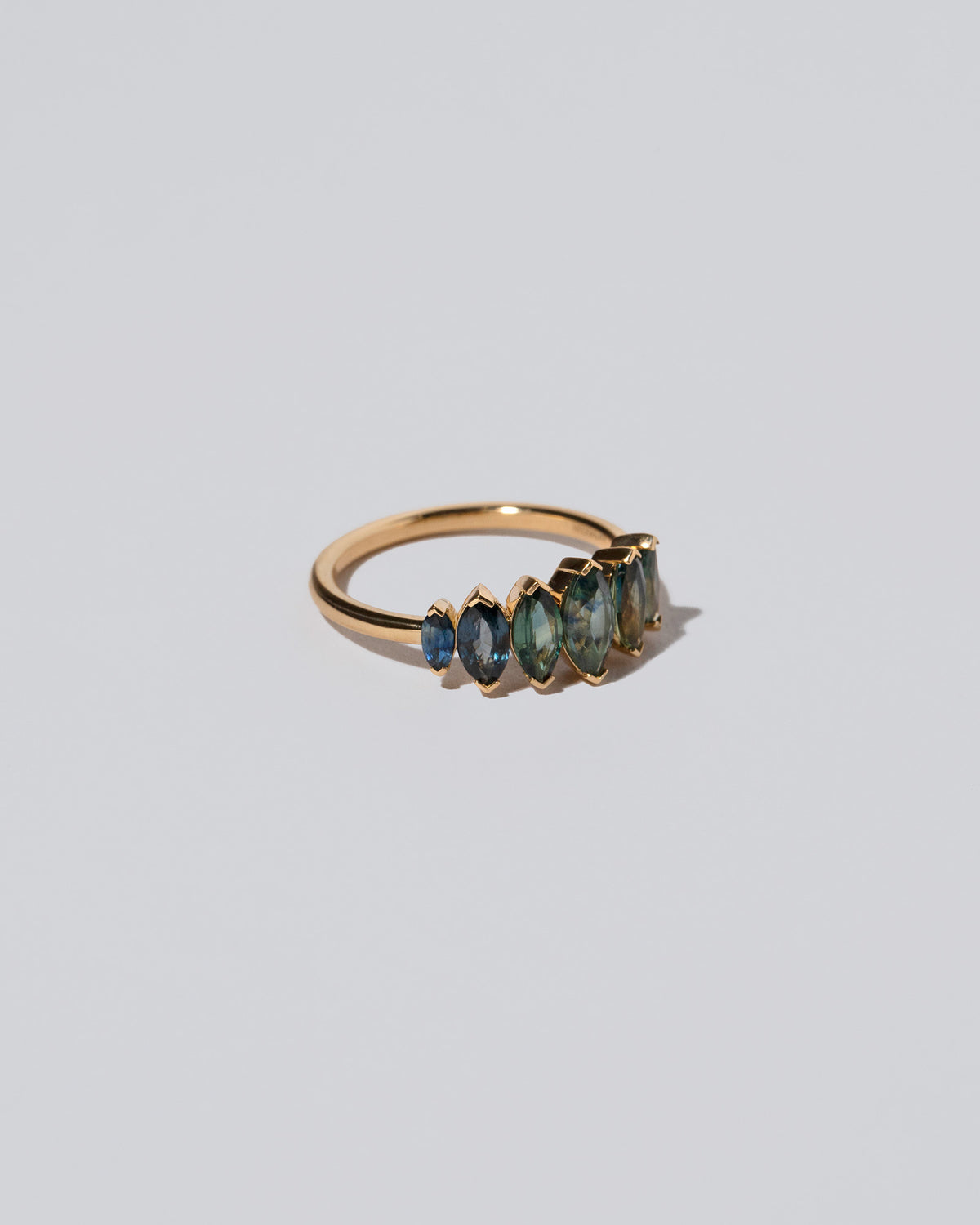 Hericium Ring on light color background.