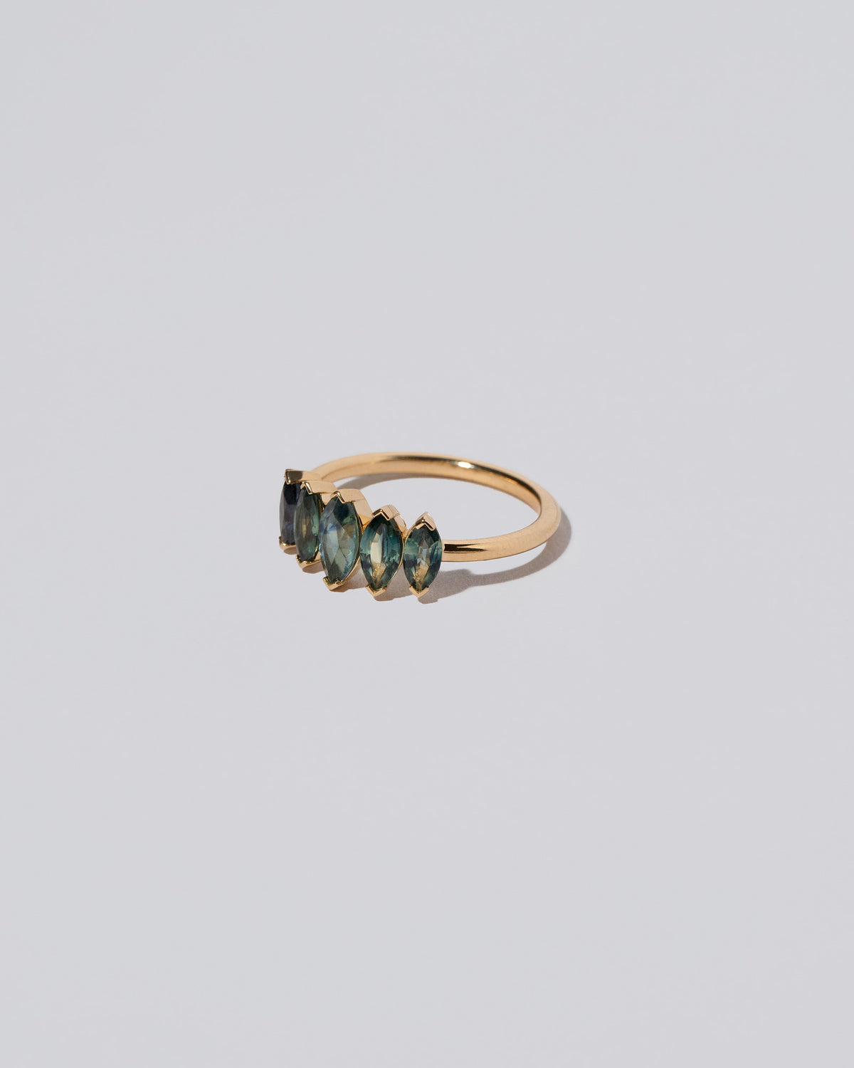 Hericium Ring on light color background.