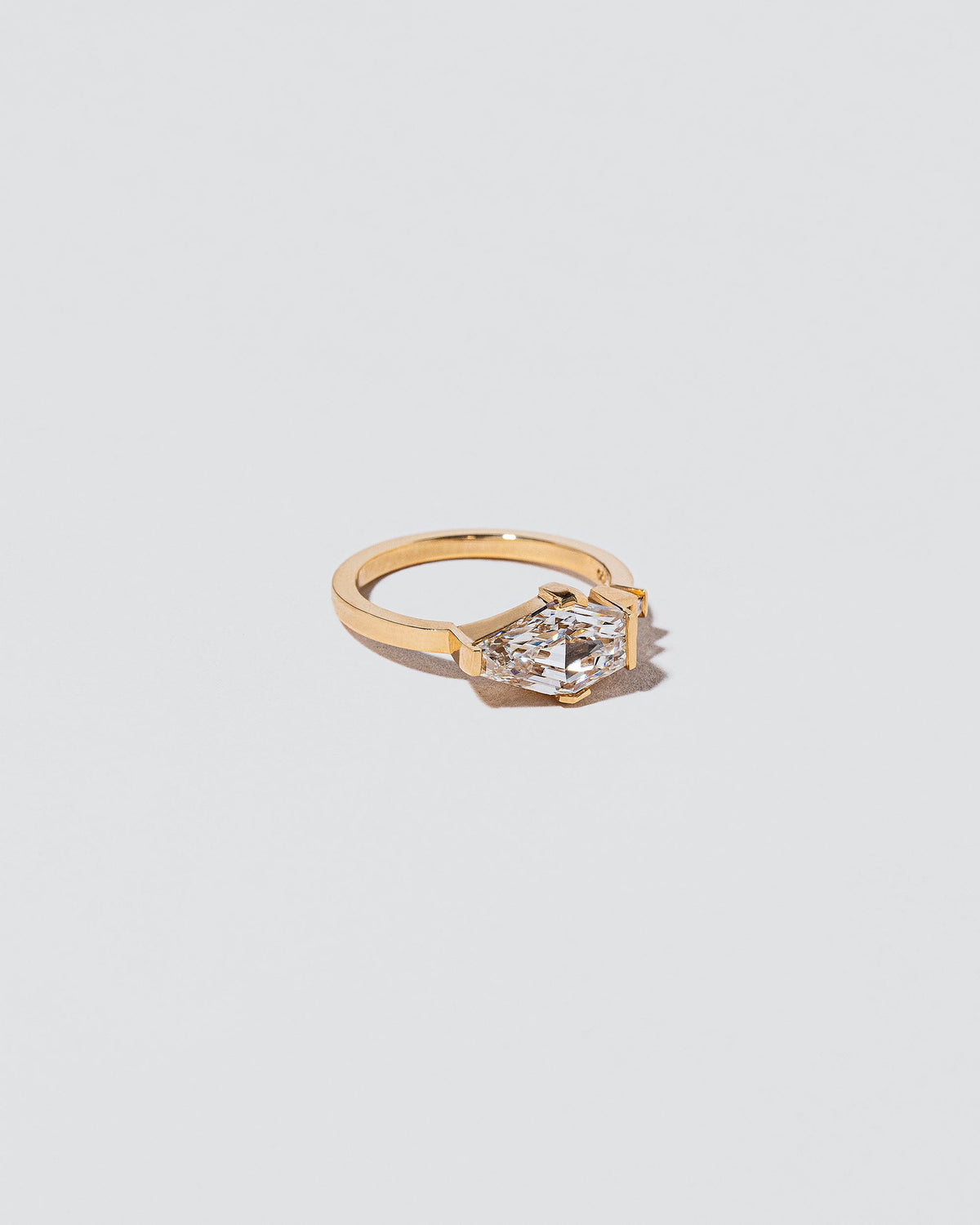  Serpentes Ring on light color background.
