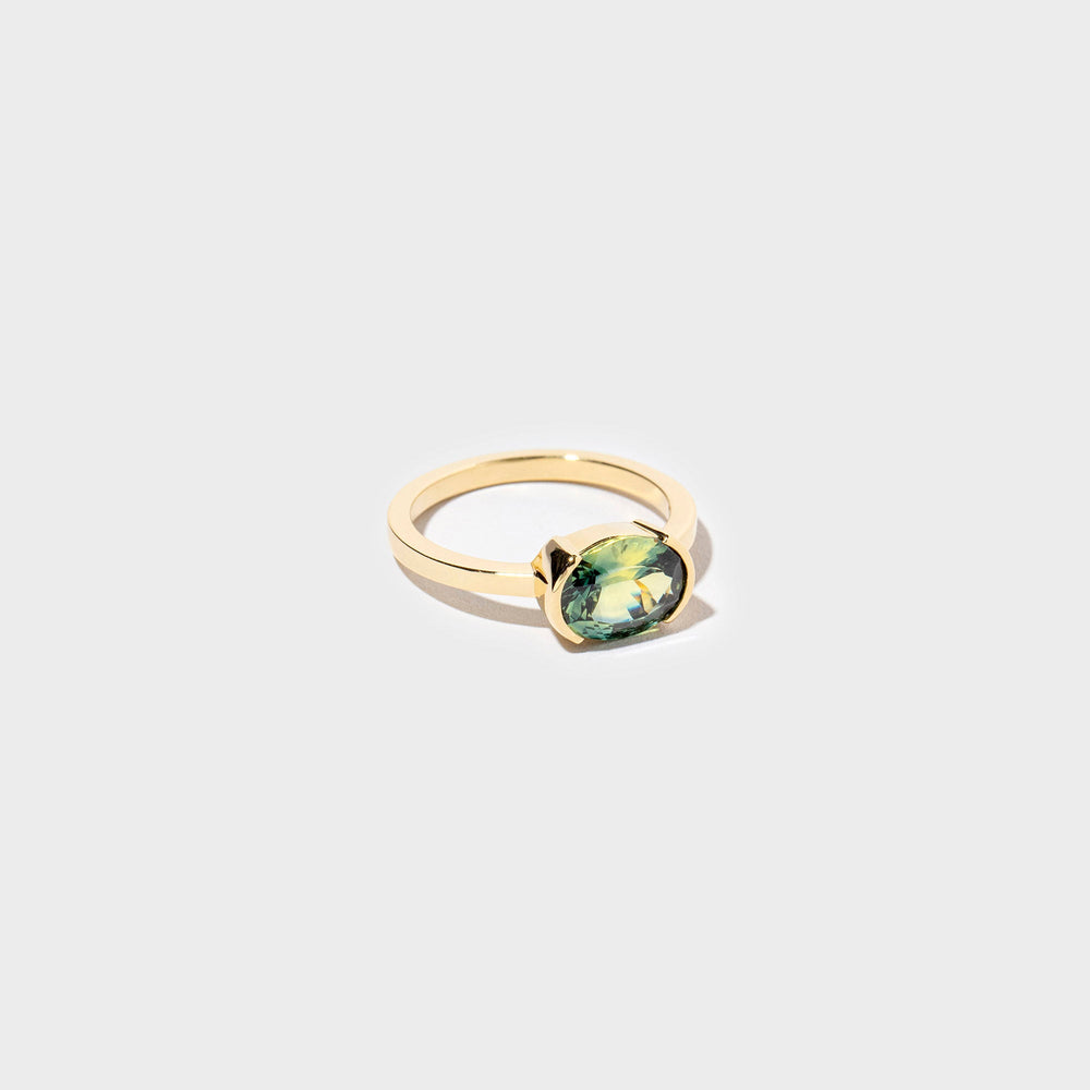product_details::Closeup details of the Bell Ring on light color background.