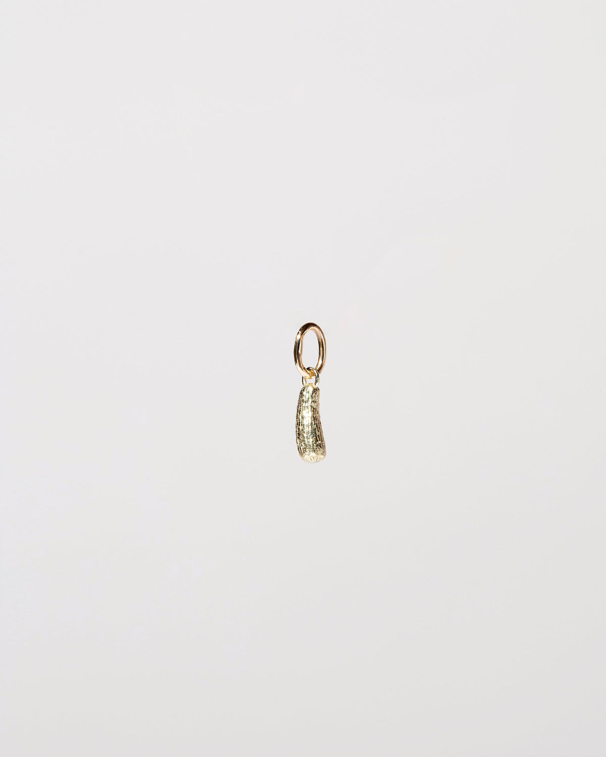  Pickle Charm on light color background.