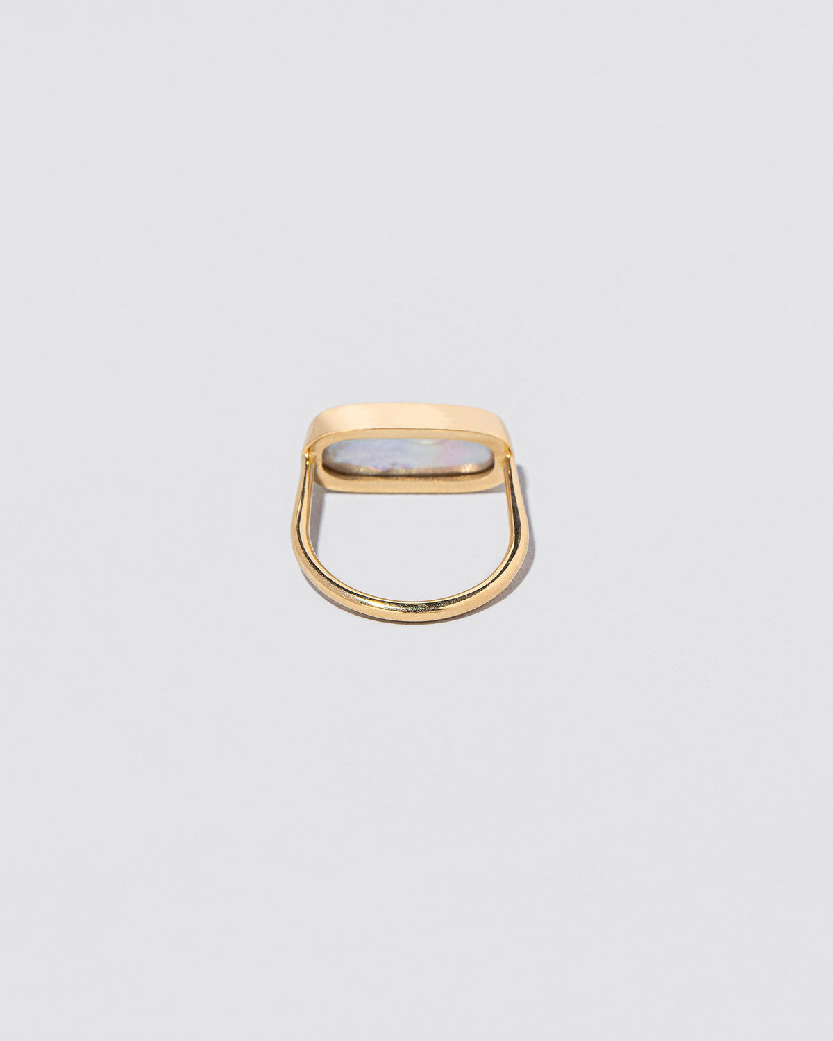 View from the back of the Antaeus Ring on light color background.
