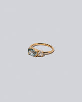 Product photo of Lupine Ring on a light color background 