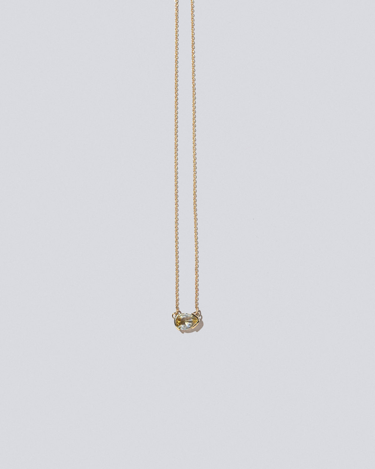 Guppy Necklace on light color background.
