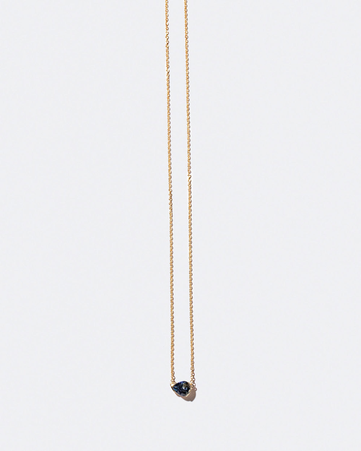 Product photo of Scale Necklace on a light color background 