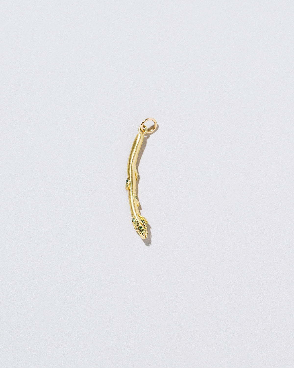  Asparagus Charm on light color background.