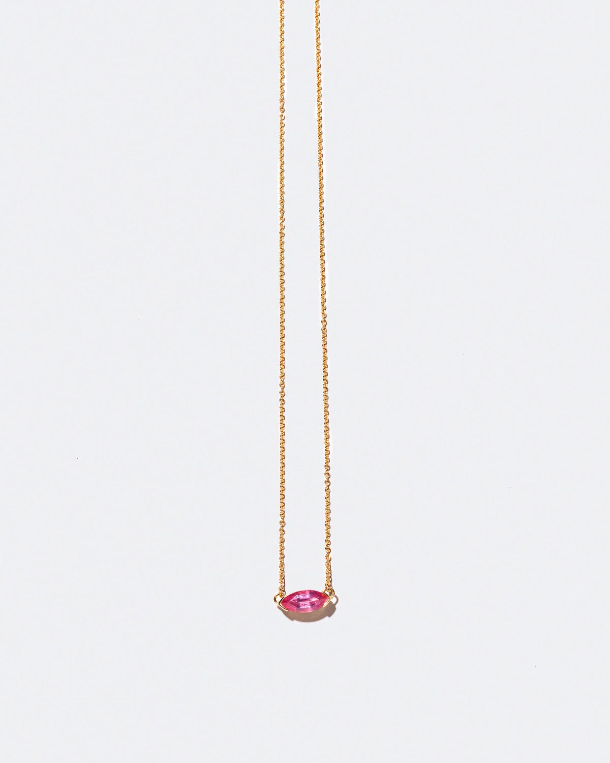 Product photo of Nudibranch Necklace on a light color background 