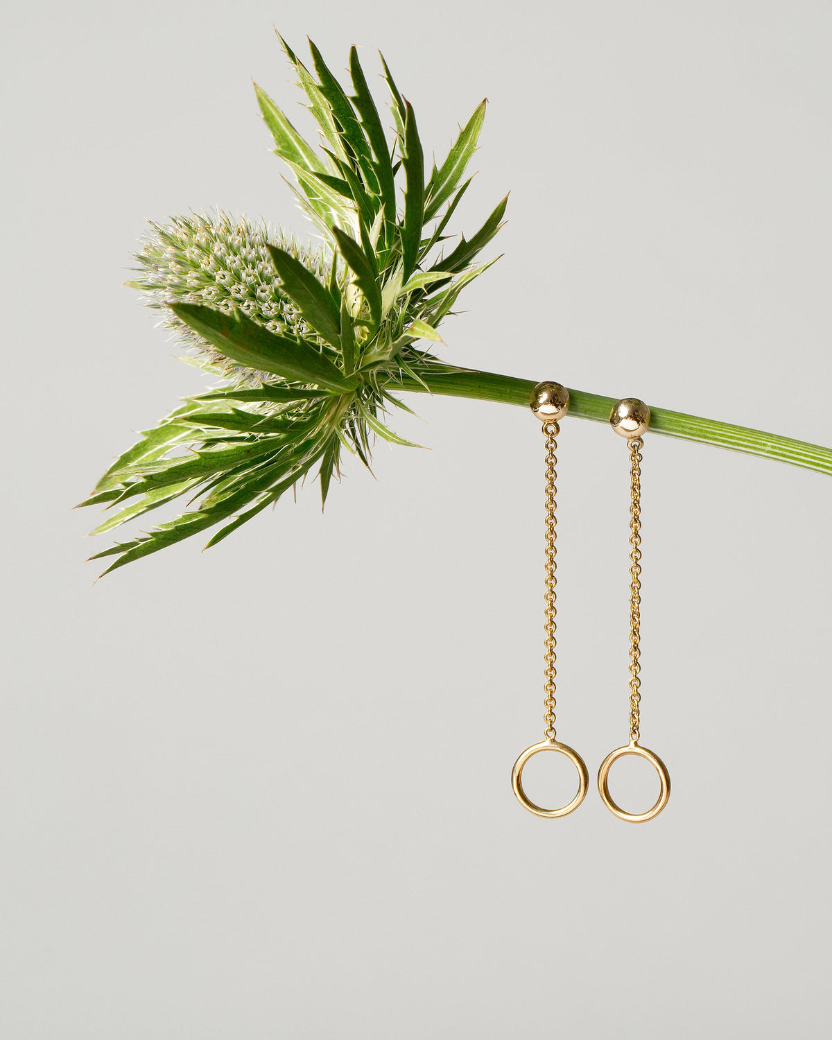 Act 2. Earrings 2 on light color background.