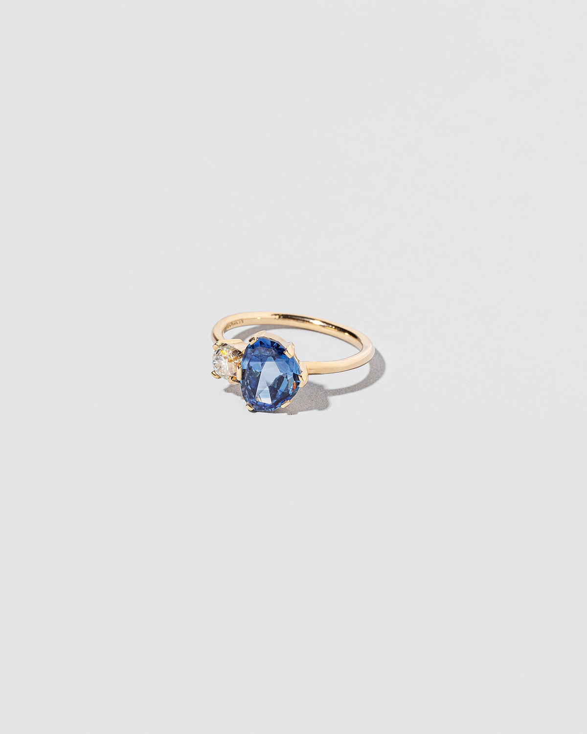  Extension Ring on light color background.