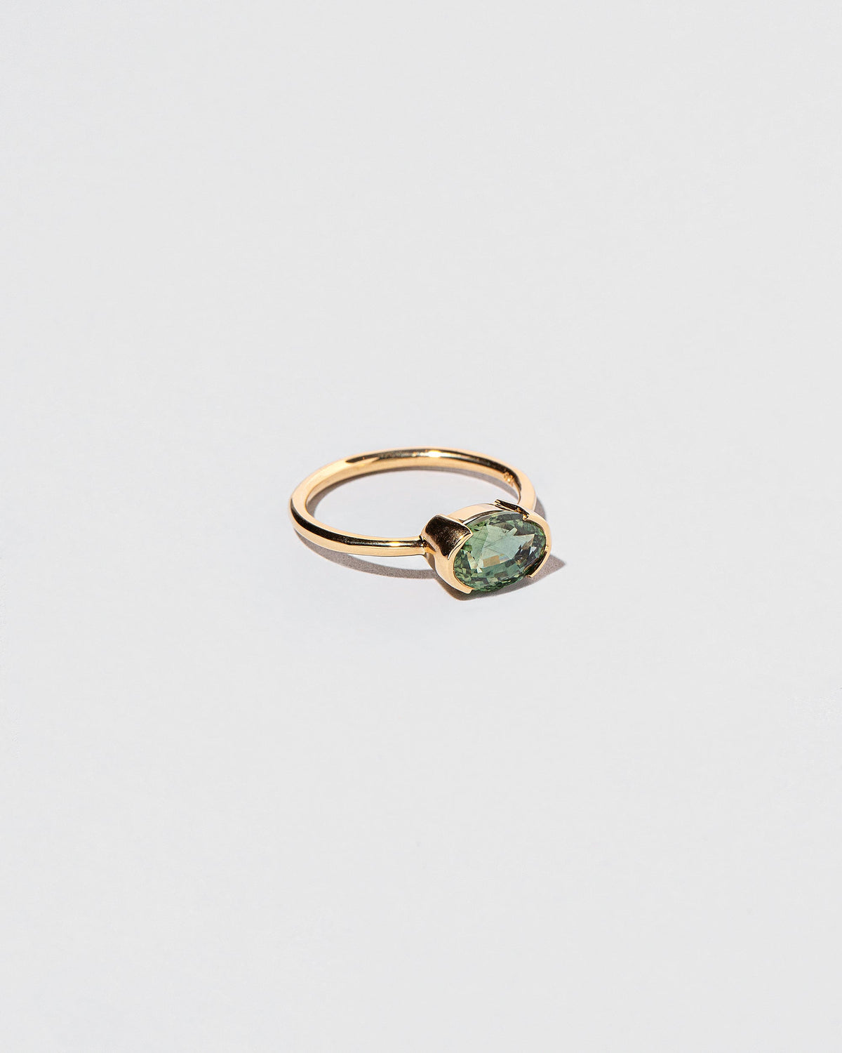 View from the side of the Fern Ring on light color background.