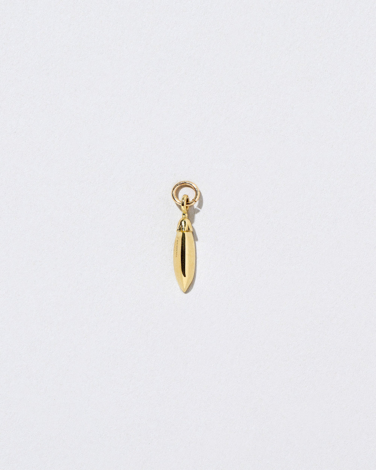 View from the back of the Snap Pea Charm on light color background.