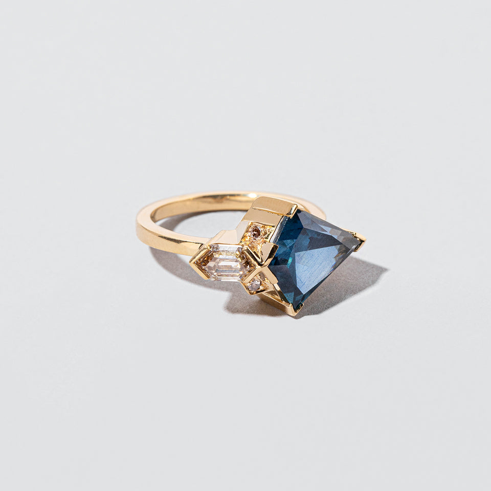 product_details:: Flying Ring on light color background.