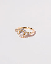  Taiga Ring on light color background.