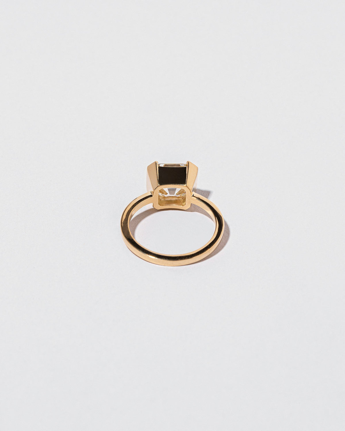 View from the back of the Future Past Ring on light color background.